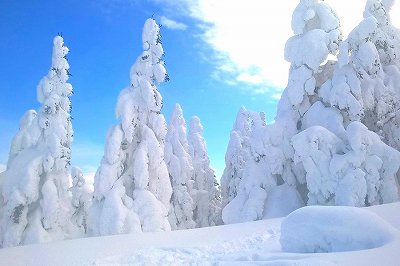 雪の日