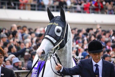 馬が繋いでくれたご縁